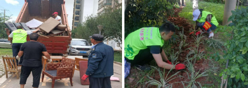 图片七