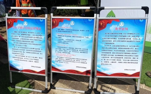 图片三