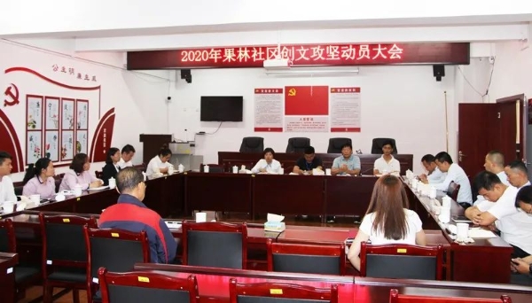 打好3+3+3组合拳 果林社区全力推进创文工作