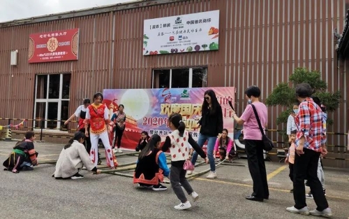 图片四