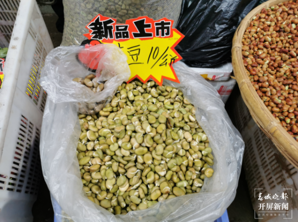 图片六