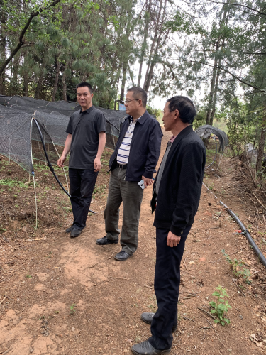昆明经开区实地查看禄劝县云龙乡帮扶项目