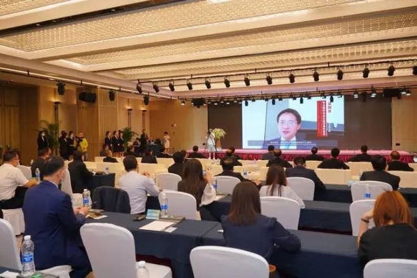 图片5