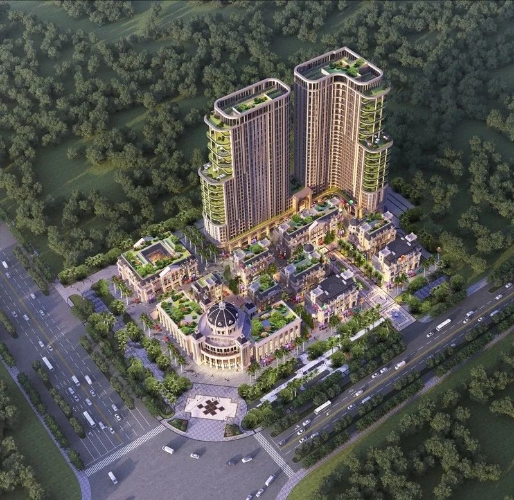 图片3