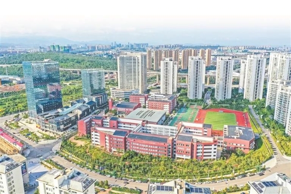 图片7