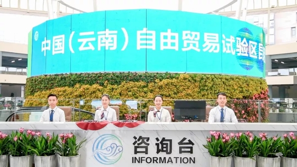 图片8