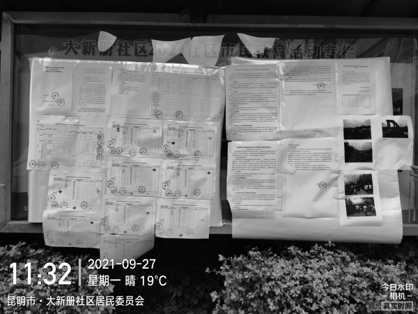 大新册社区居民委员会3
