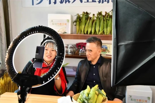 图片7