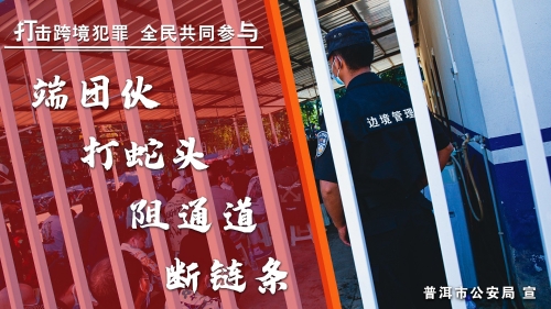 端团伙 打蛇头 阻通道 断链条