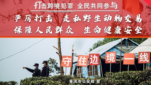 严厉打击 走私野生动物交易