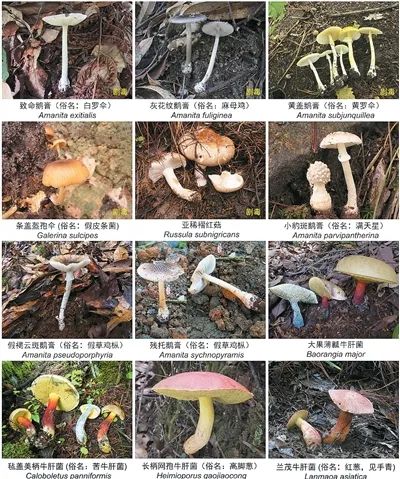 微信图片_20250619093911