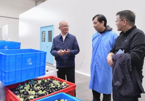 20251114_160400_002 20251114_160400_002