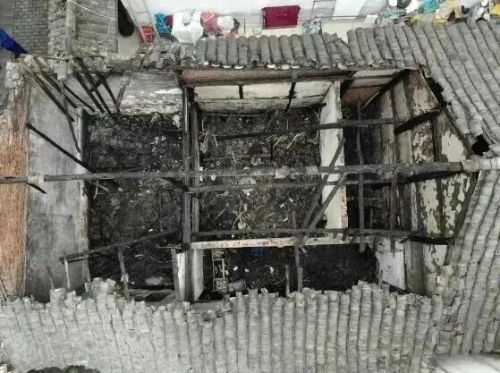 20251216_110052_040 20251216_110052_040